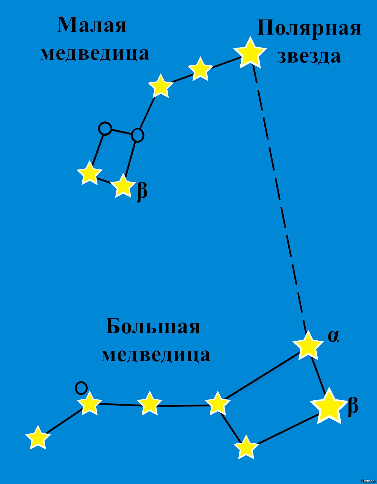 Самая яркая звезда в Северном Полушарии - Полярная Звезда.