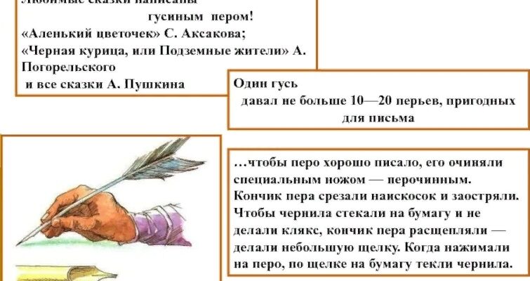 обложка к статье "НА КОНЧИКЕ ПЕРА"